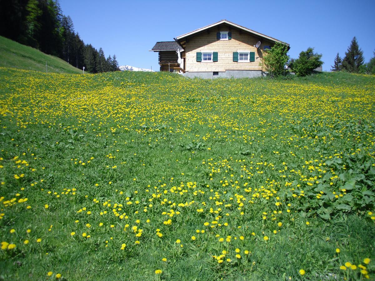 Maisaess Lifinarblick Villa Schruns ภายนอก รูปภาพ