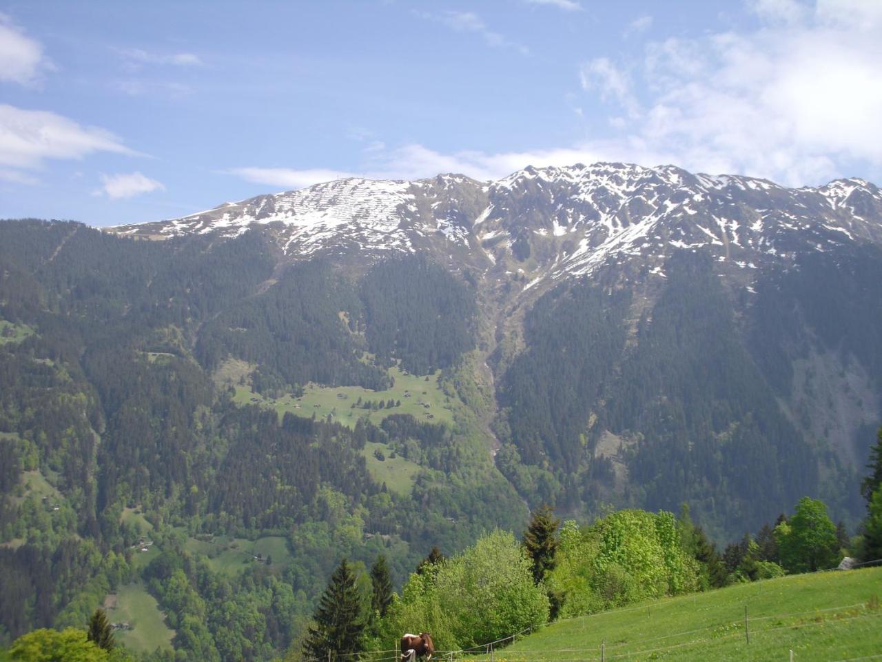 Maisaess Lifinarblick Villa Schruns ภายนอก รูปภาพ
